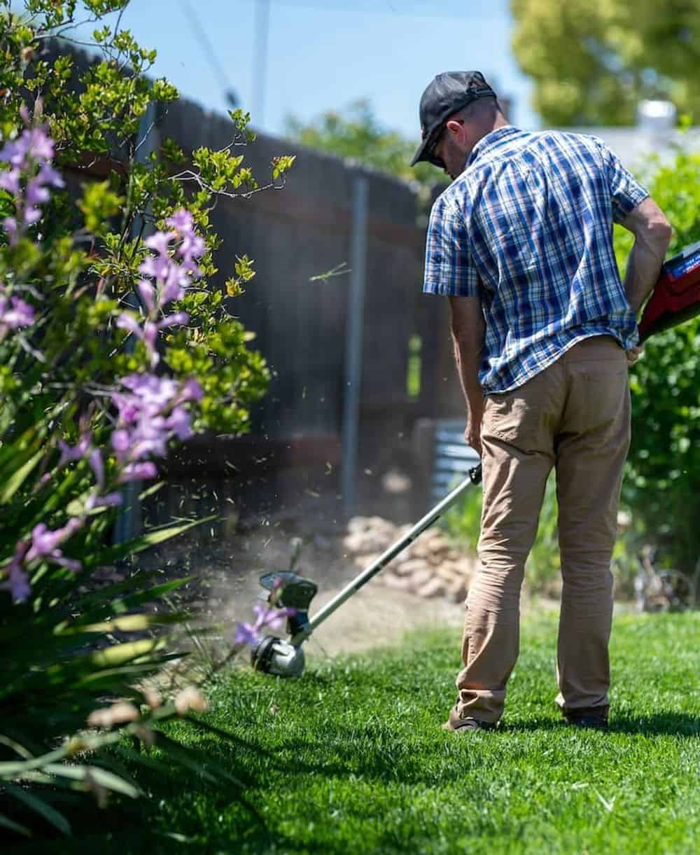  Lawn Care image