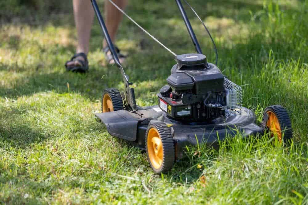  Yard Maintenance and Clean Up image