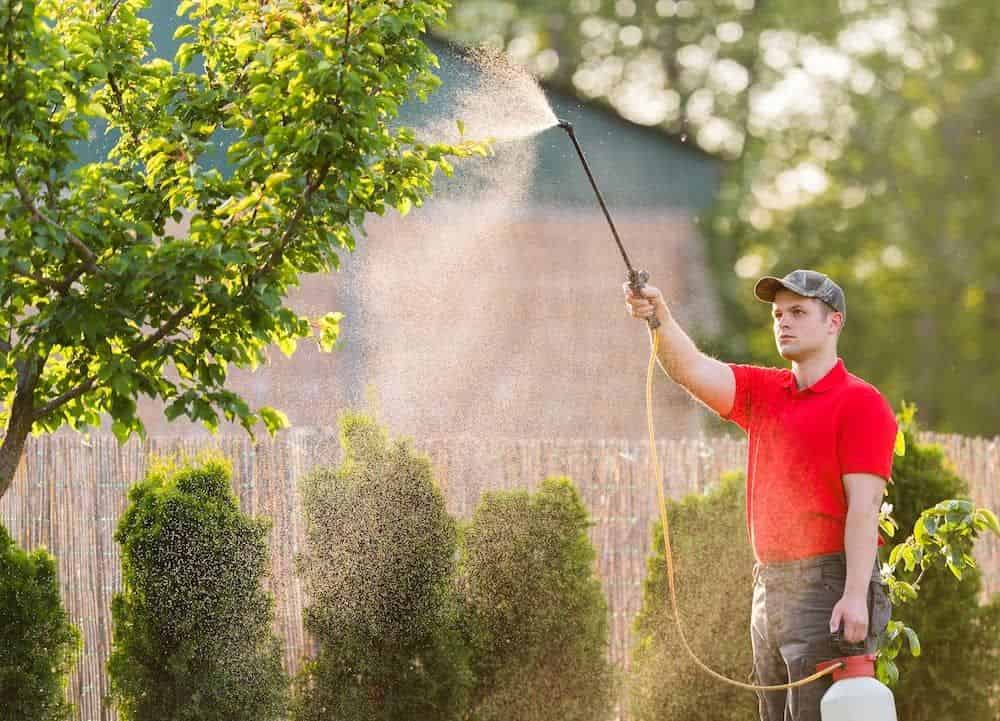 Lawn Aeration and Fertilization image