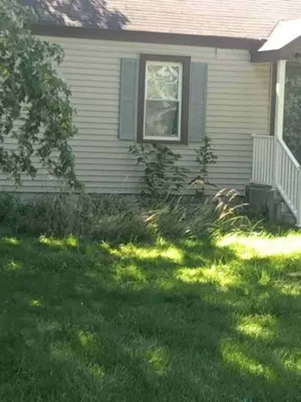 Weed Removal image