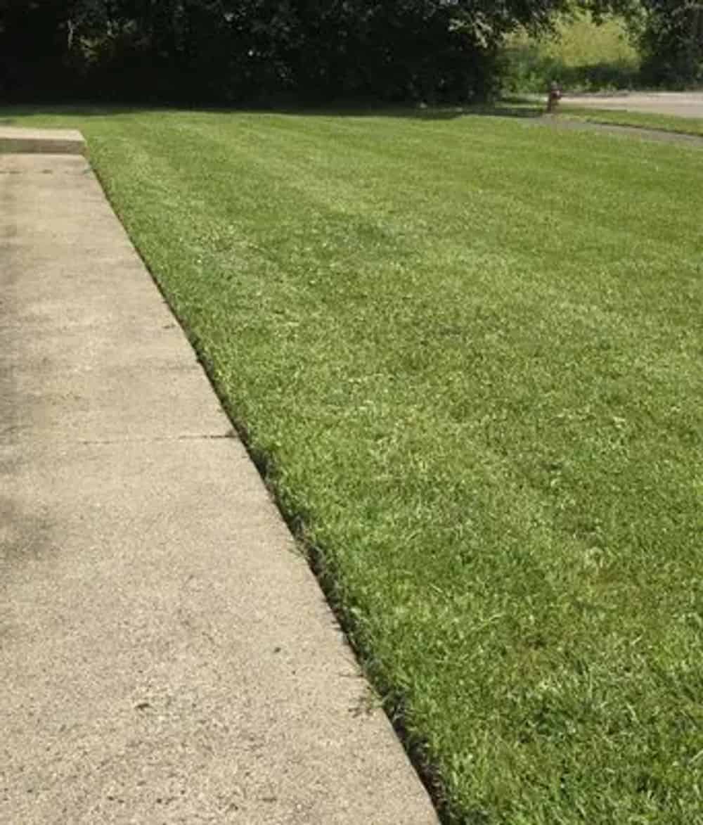 Pressure Washing image
