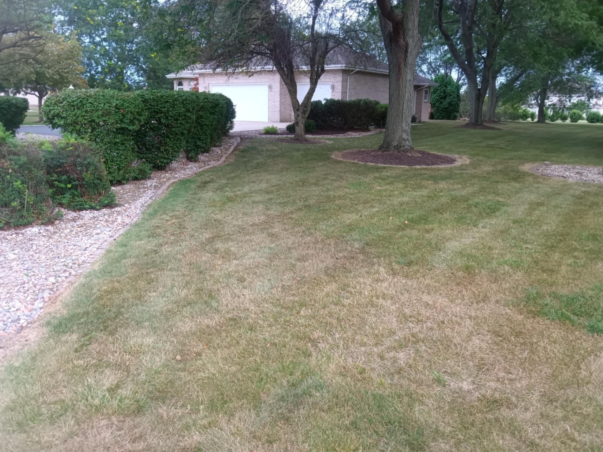 Lawn and garden landscaping with a house, trees, and stone pathway.