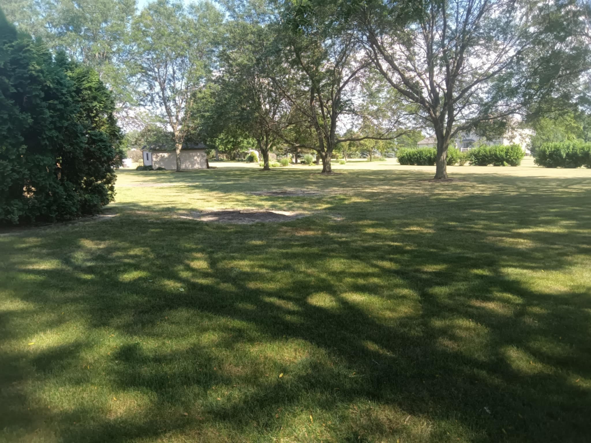 Lush green park with large trees casting shadows on the grass under a clear sky.