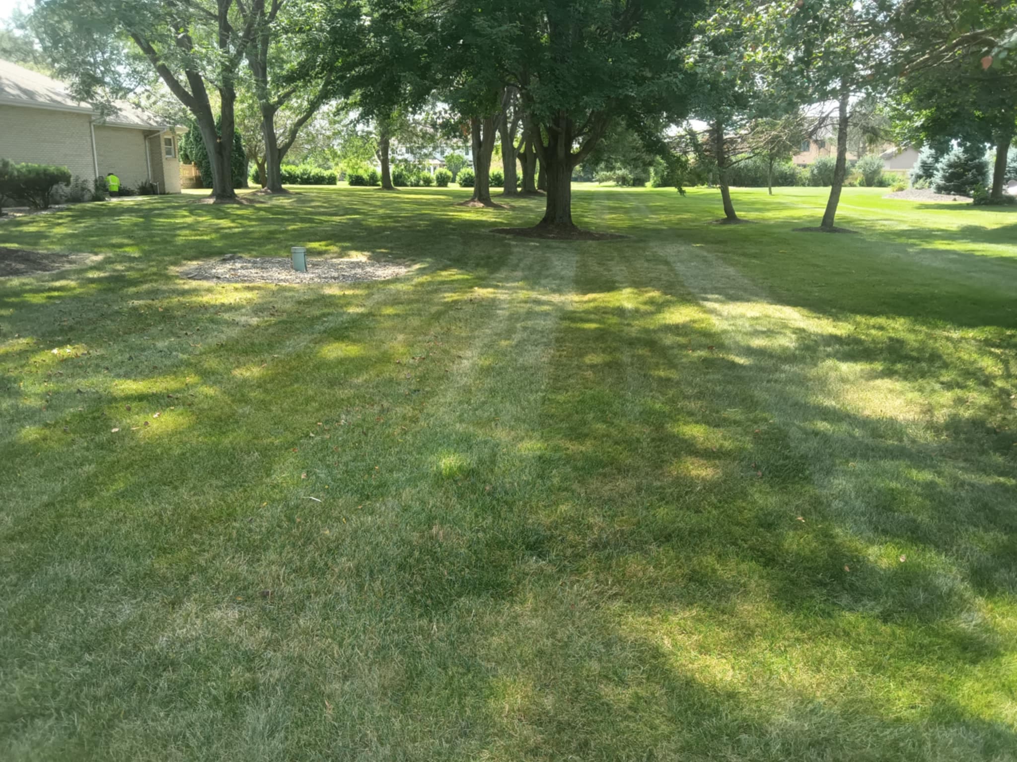 Lush green lawn with distinct mowing stripes under shaded trees.