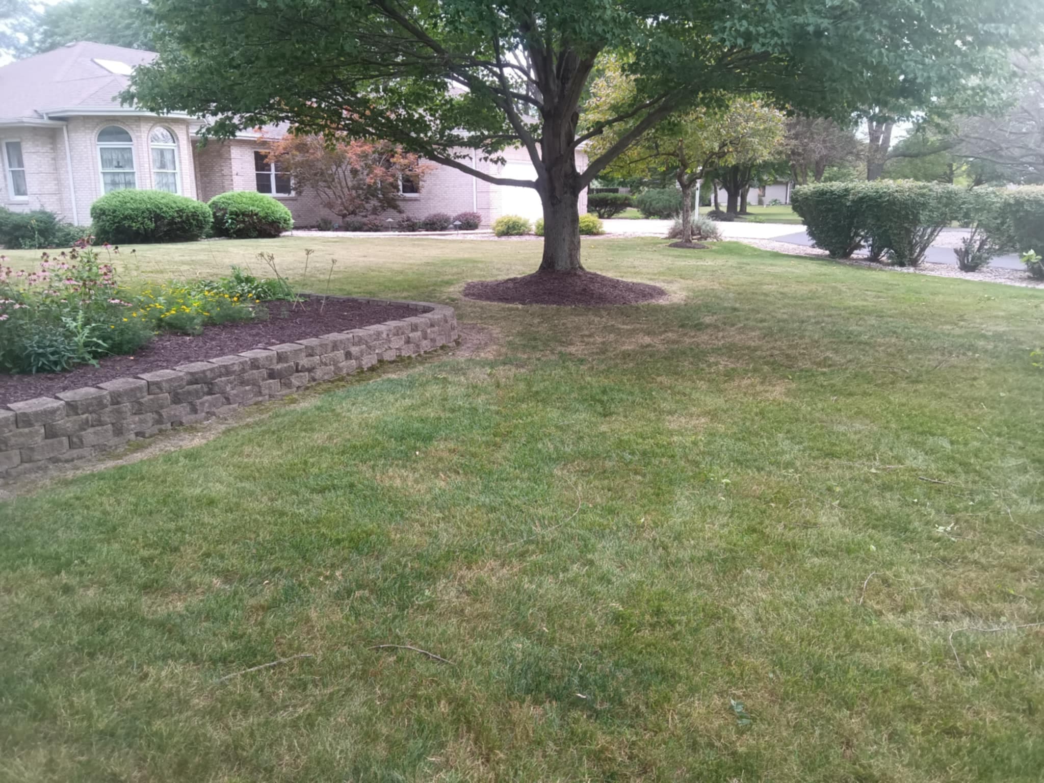 Well-maintained lawn with a large tree and flower bed in a residential neighborhood.