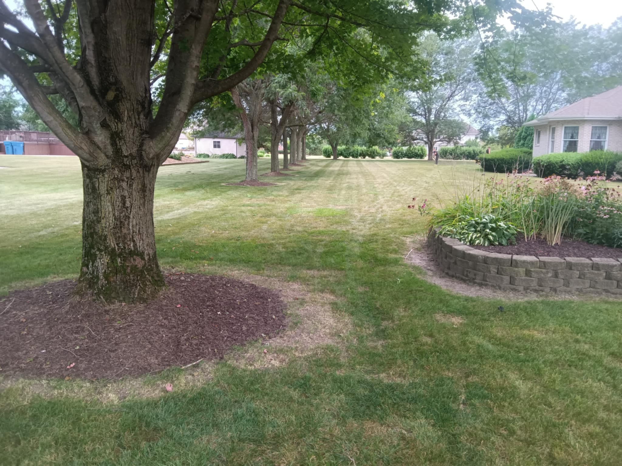 Small home with a windy driveway and green grass