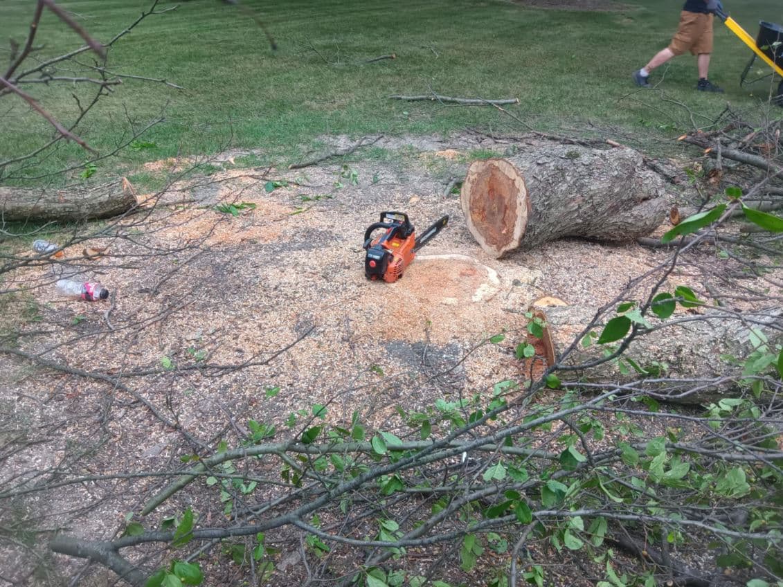 Gallery photos for Tree Removal in Crown Point: Image #2